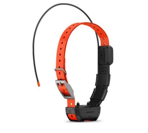 Collar GPS Garmin TT25 (TT25) Adiestramiento para Alpha 300 – 300i – Alpha 100 – Alpha 200i